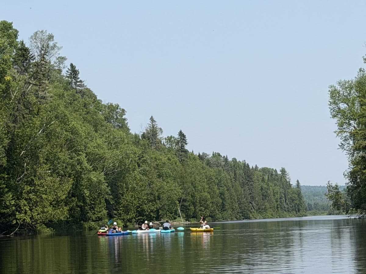 A group paddling kayaks together along a quiet, tree-lined stretch of water.